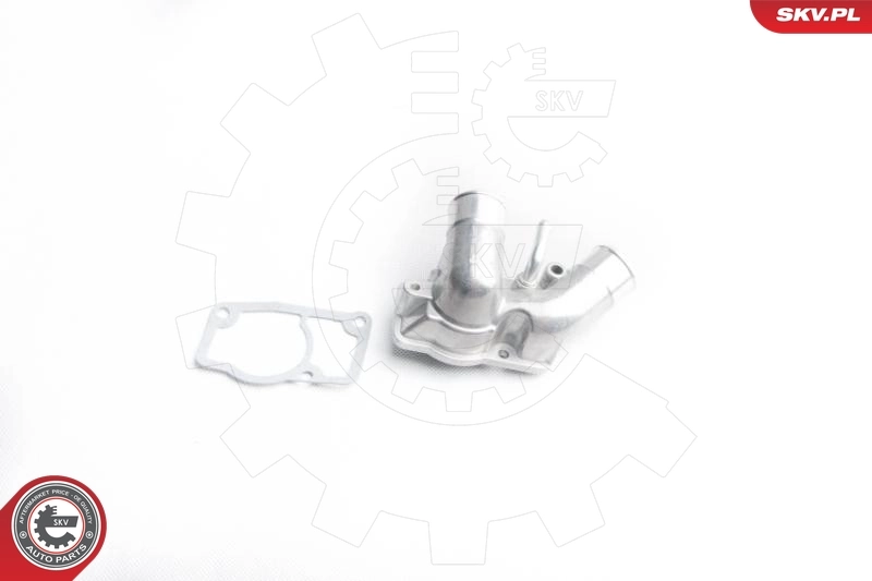 Thermostat, coolant